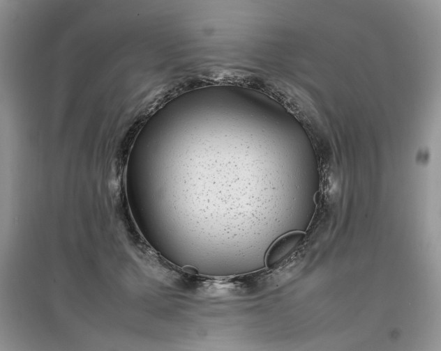 X0000097640607200803142048