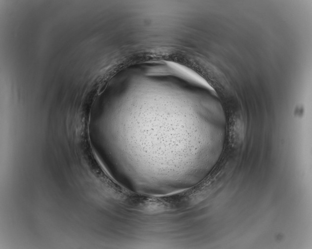 X0000097640608200803142048