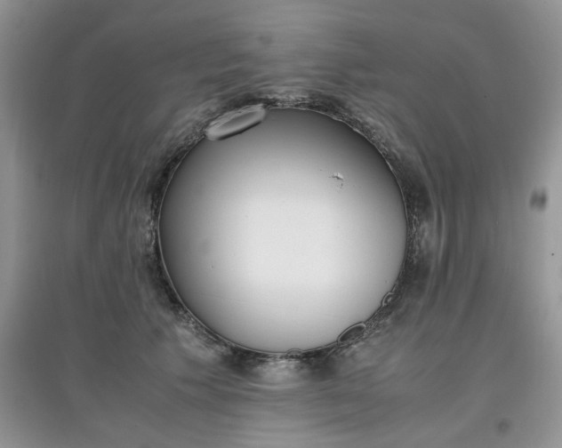 X0000097640609200803142048