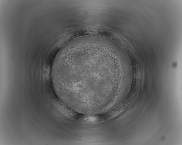 X0000097640610200803142048