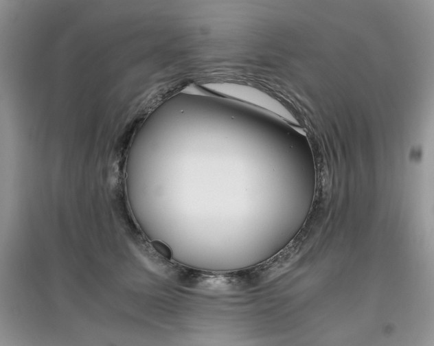 X0000097640611200803142048