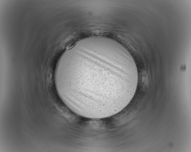 X0000097640615200803142048