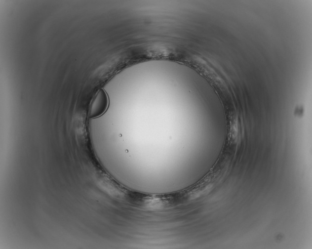 X0000097640616200803142048