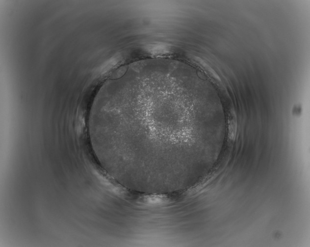 X0000097640618200803142048