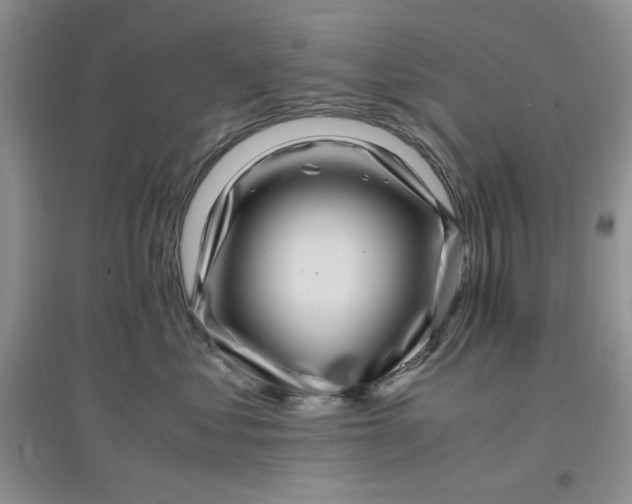 X0000097640621200803142048