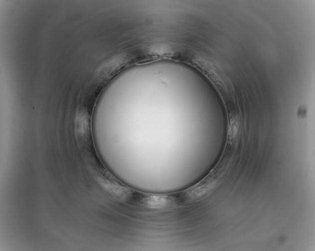 X0000097640623200803142048