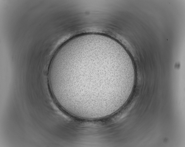 X0000097640625200803142047