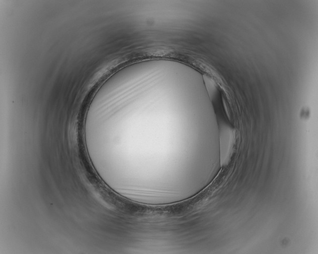 X0000097640626200803142047