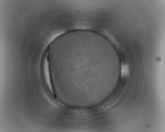 X0000097640627200803142047