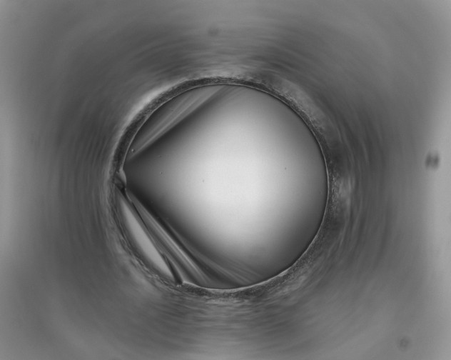 X0000097640628200803142047