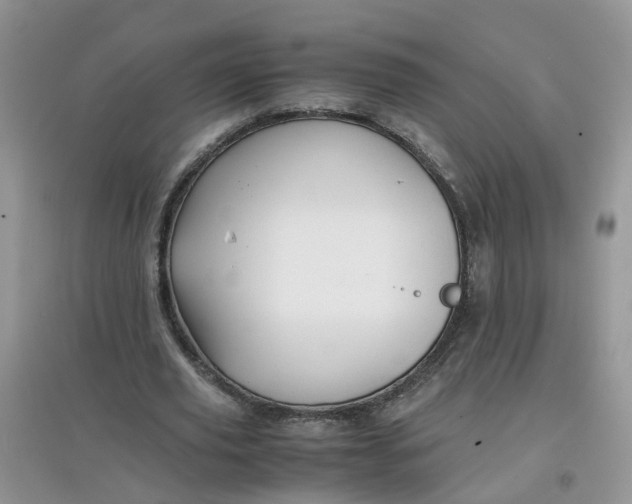 X0000097640629200803142047