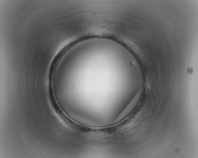 X0000097640630200803142047