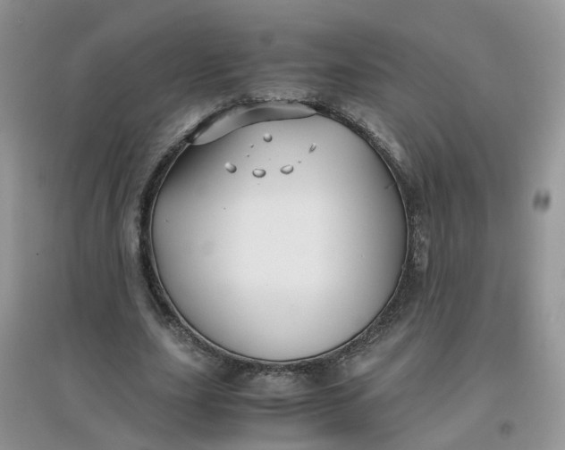 X0000097640631200803142047