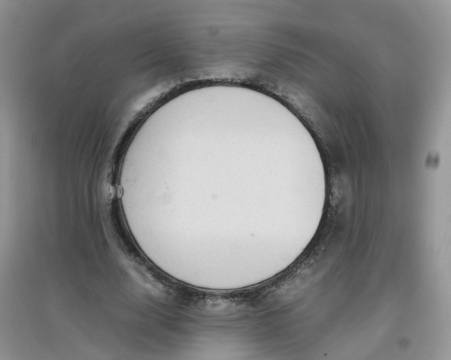 X0000097640632200803142047