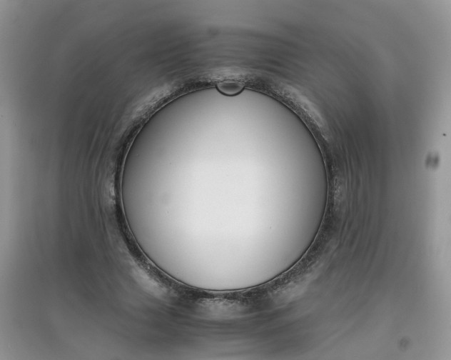 X0000097640633200803142047