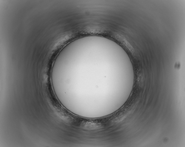 X0000097640635200803142047