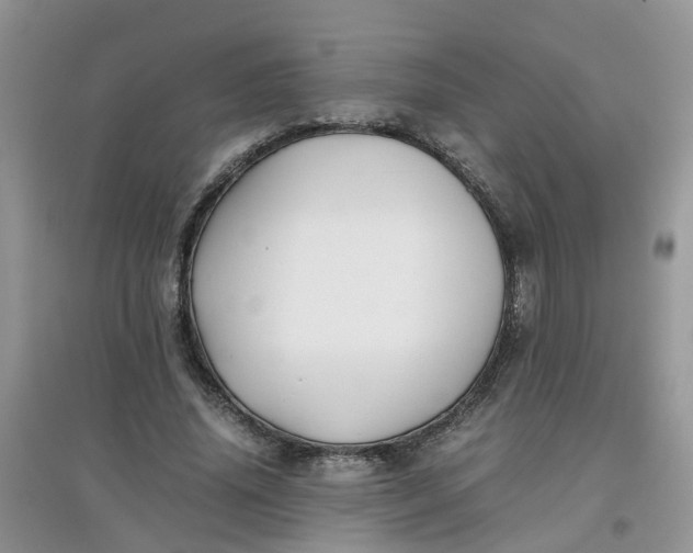 X0000097640636200803142048