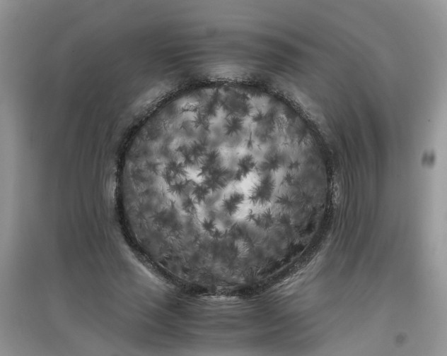 X0000097640637200803142048