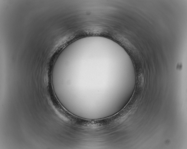 X0000097640638200803142048