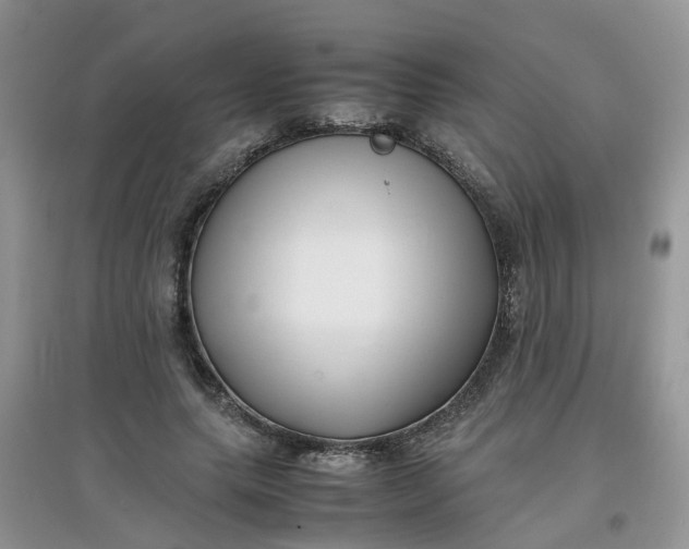 X0000097640639200803142048