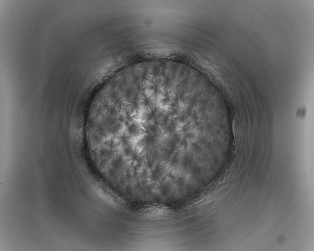 X0000097640642200803142048