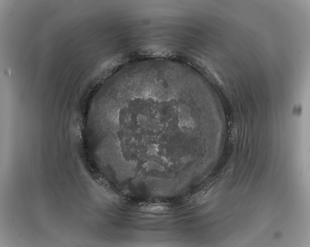 X0000097640643200803142048