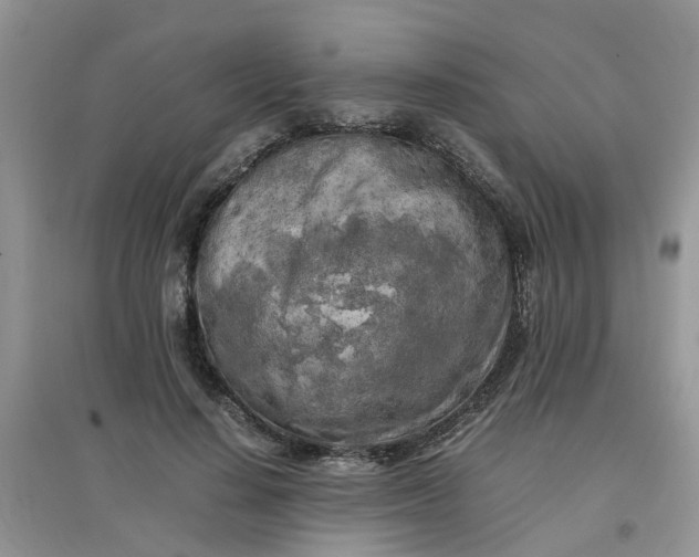 X0000097640644200803142048