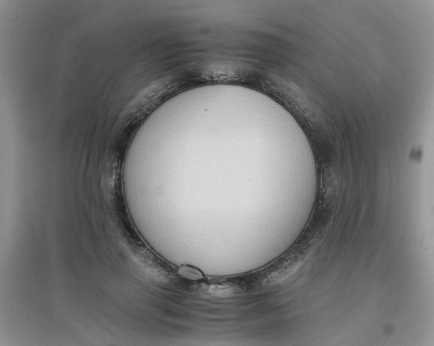 X0000097640645200803142048