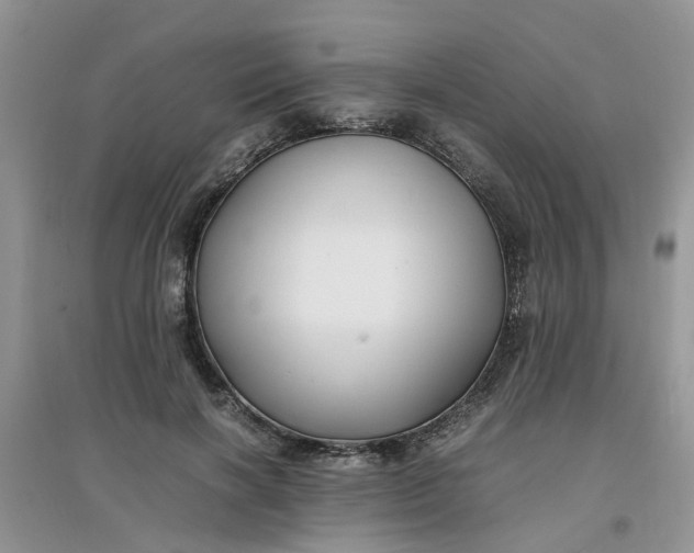 X0000097640646200803142048