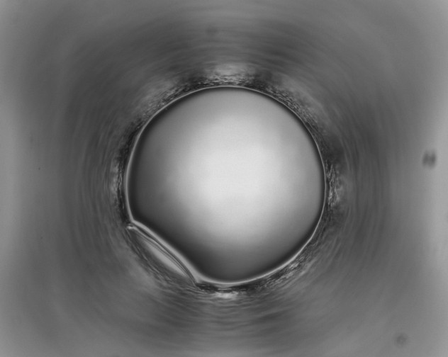 X0000097640647200803142048