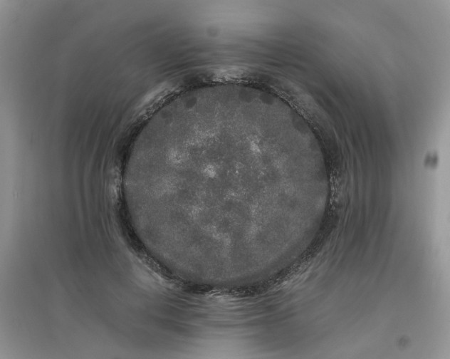 X0000097640648200803142048