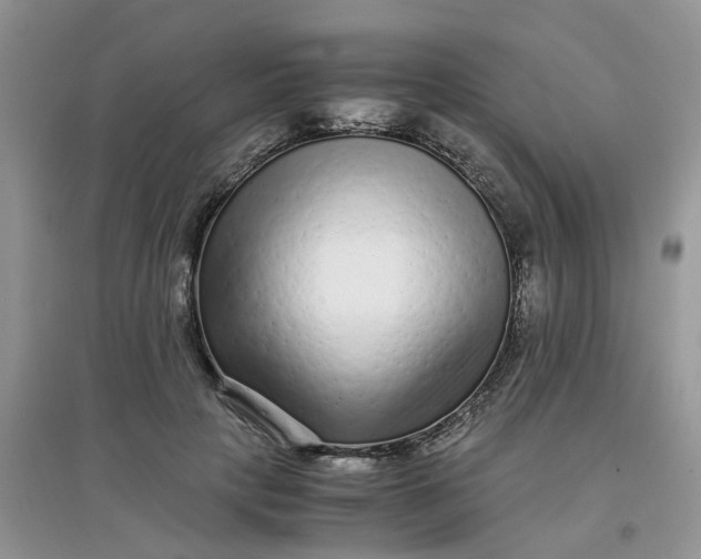 X0000097640649200803142048