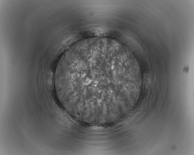 X0000097640650200803142048