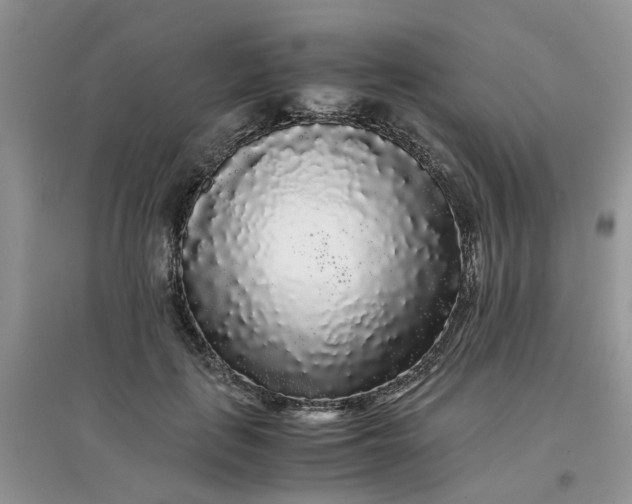 X0000097640651200803142048