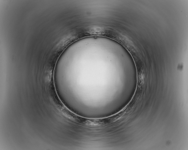 X0000097640652200803142048