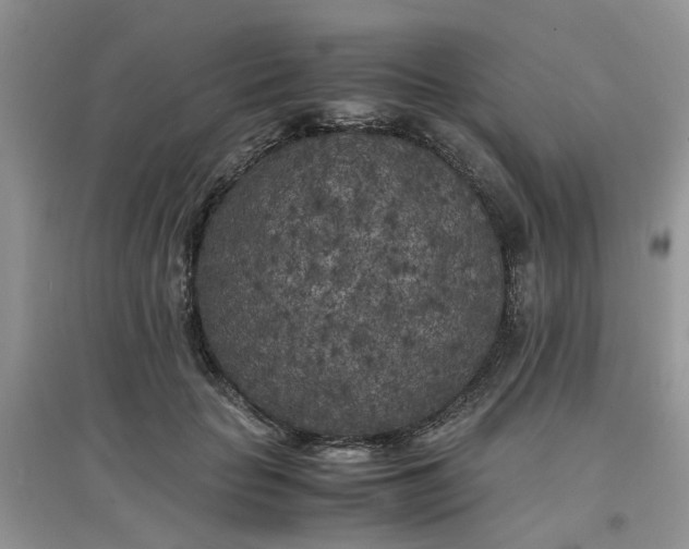 X0000097640653200803142048