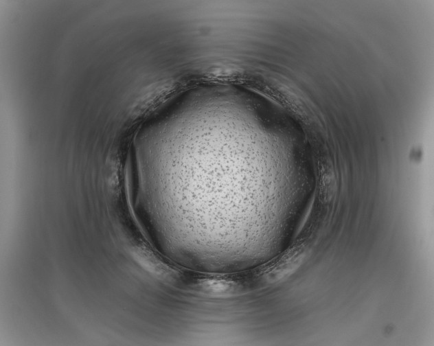 X0000097640654200803142048