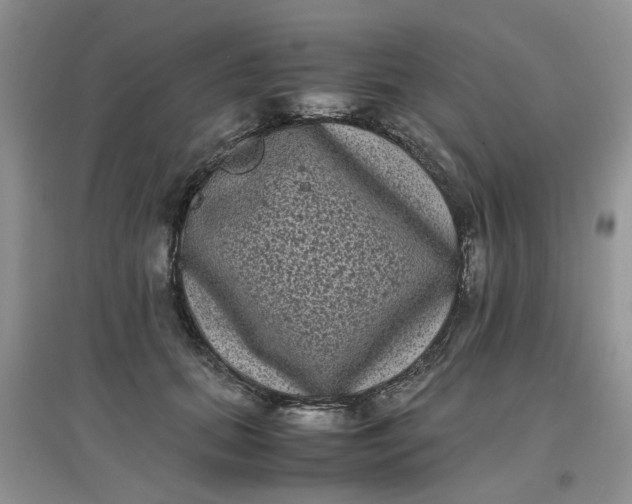 X0000097640655200803142048