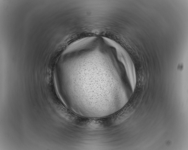 X0000097640656200803142048