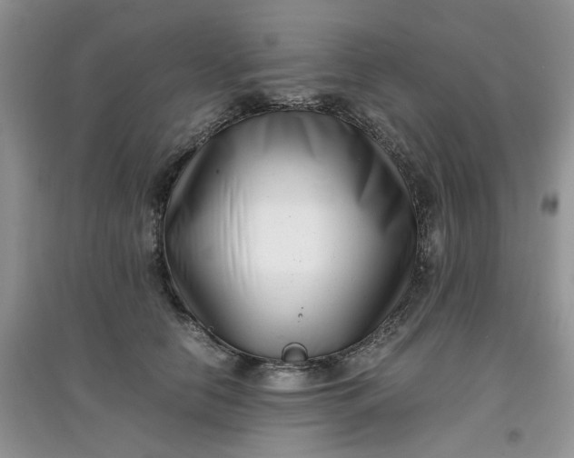 X0000097640658200803142048