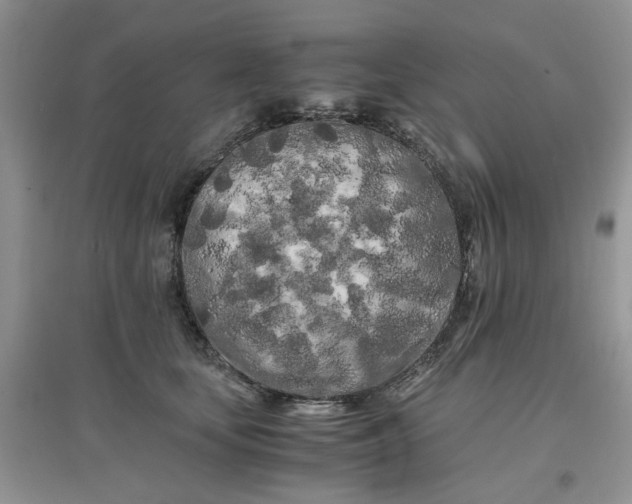 X0000097640659200803142048