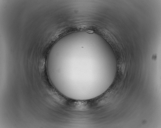 X0000097640660200803142048