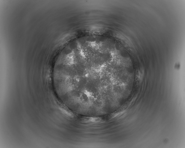 X0000097640663200803142048