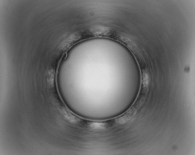 X0000097640664200803142048