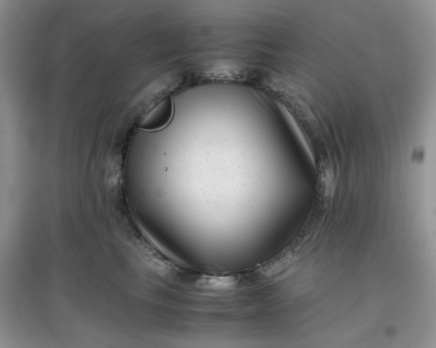 X0000097640665200803142048