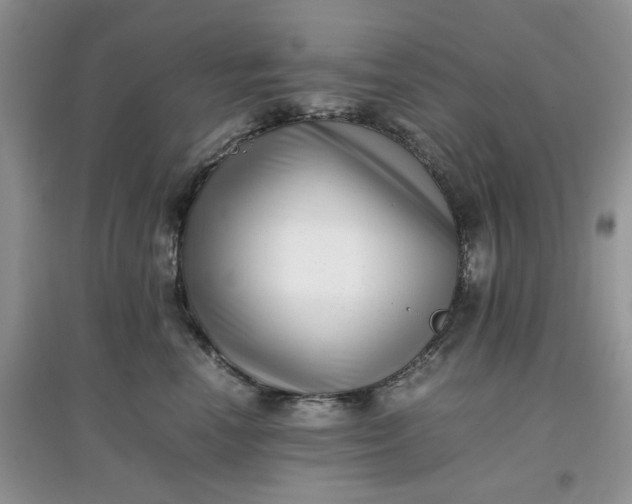 X0000097640666200803142048