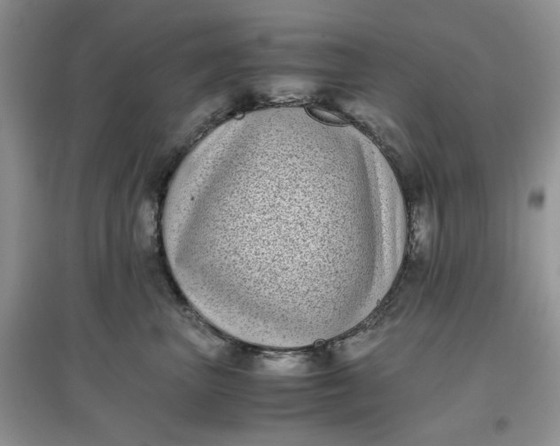 X0000097640667200803142048