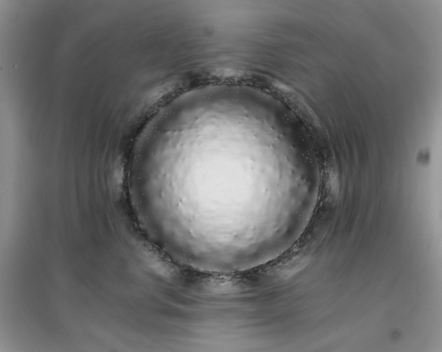 X0000097640668200803142048