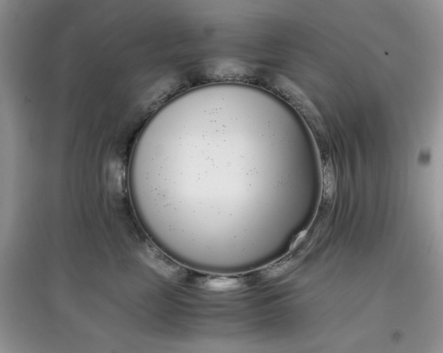 X0000097640669200803142048