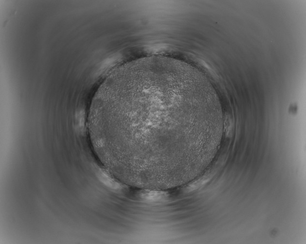 X0000097640670200803142048